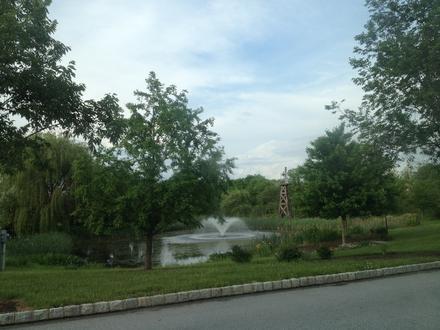 Chester Springs Image
