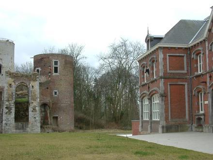 Stein Image