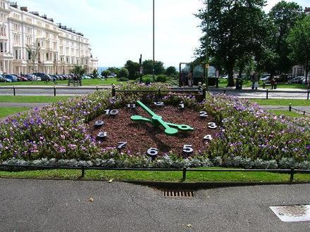 Hove Image