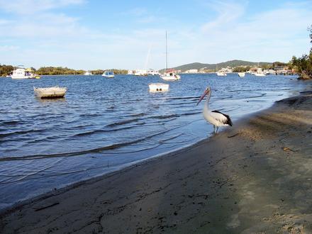 Noosaville Image