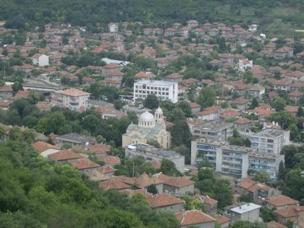 Provadia Image