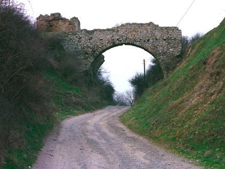 Ossolin Image