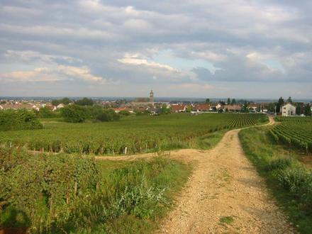 Imatge de Marsannay-la-Côte Imatge de Marsannay-la-Côte