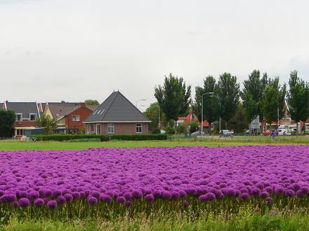 Image de Limmen