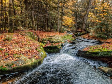 Rock Hill Image