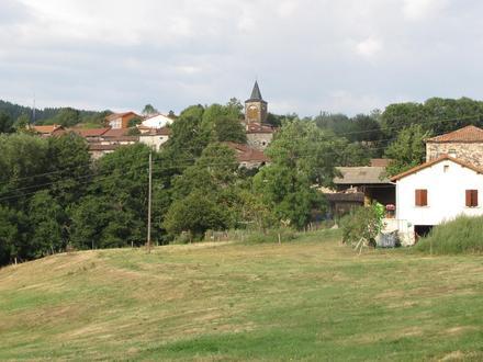 Imatge de Vaselhas e Limandra Imatge de Vaselhas e Limandra