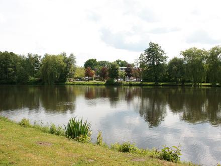 Munster Image