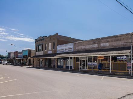 Whitney Image