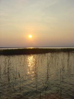 Lake Waccamaw Image