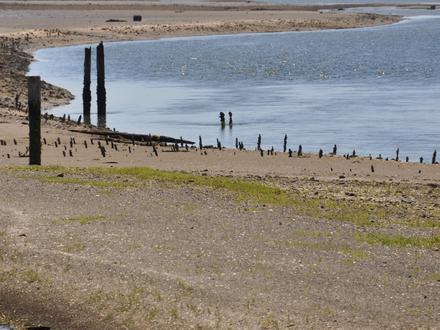 Comox Image
