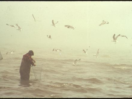 Tawas City Image