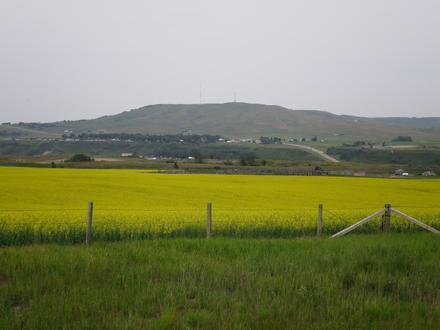 Longview Image