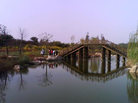 Shouguang Image