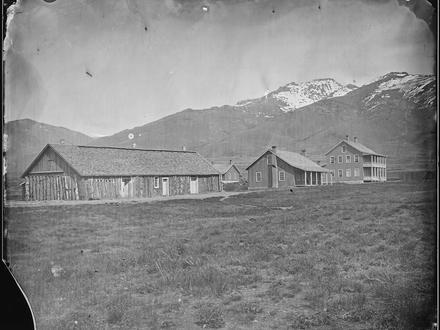 Halleck Image