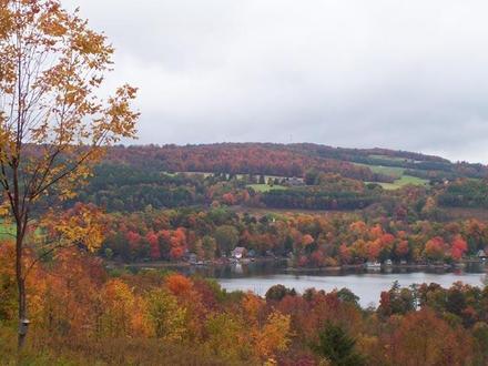 Hamilton Image