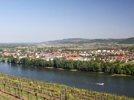 Mautern an der Donau Image