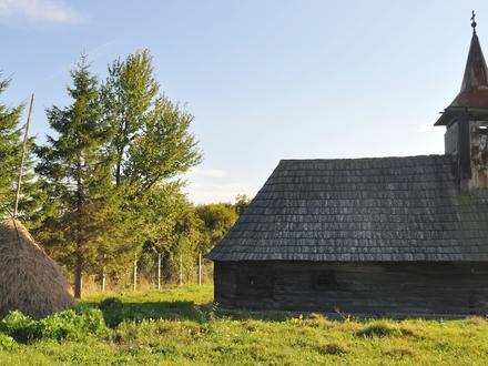 Vețel Image