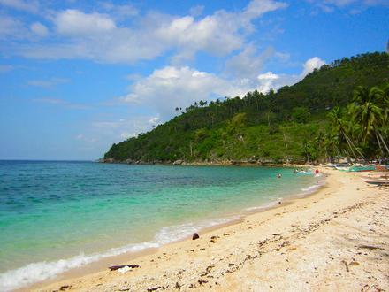 Aloguinsan Image