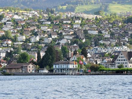 Richterswil Image