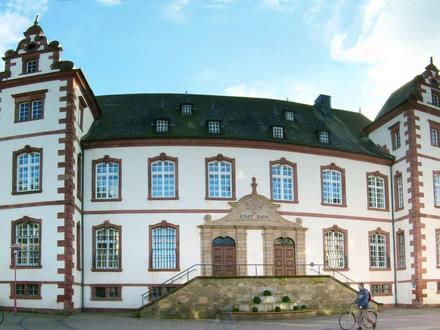 Merzig Image