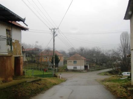 Orane Image