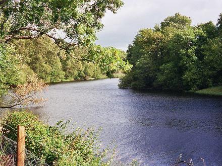 Kincraig Image