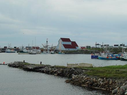 Bonavista Image
