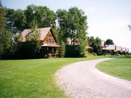 Steveville Image