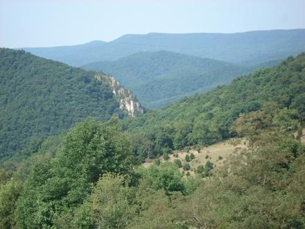 Judy Gap Image