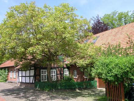 Wiedensahl Image