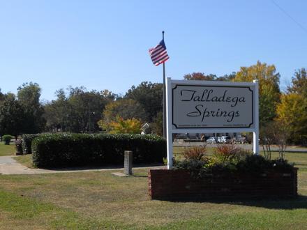 Talladega Springs Image