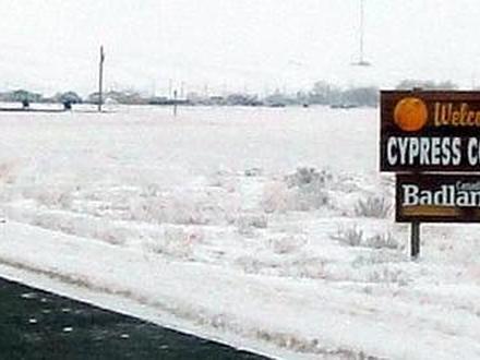 Roytal Image