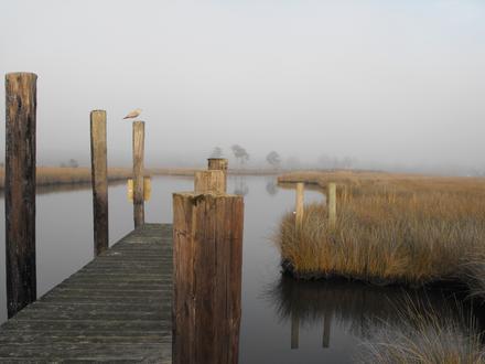 Swan Quarter, North Carolina Image