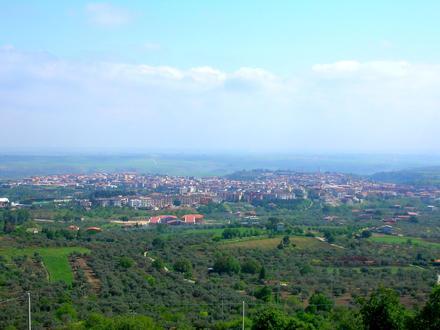Venosa Image