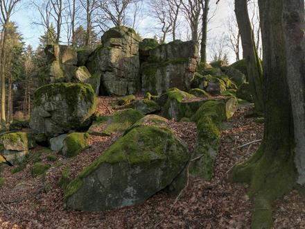 Höhn Image