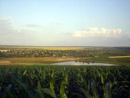 Vişniovca Image