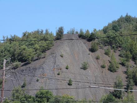 Shamokin Image