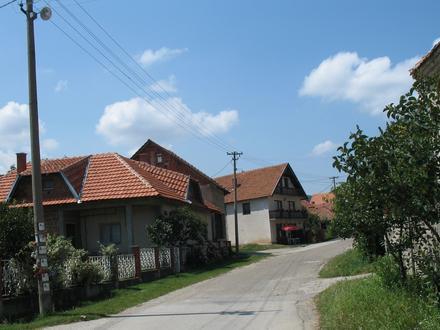 Popovica Image