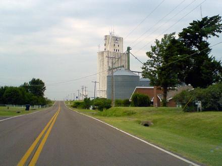Corn Image