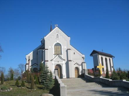 Brzóza Królewska Image