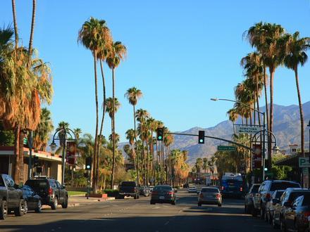 Palm Springs Image
