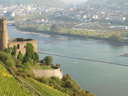 Rüdesheim am Rhein Image
