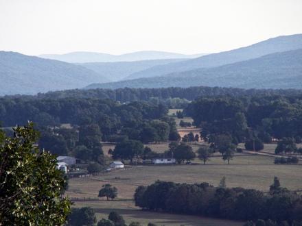 Knob Lick Image