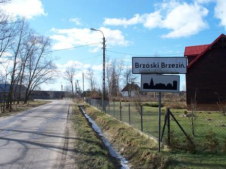 Brzózki Brzezińskie Image