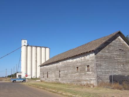Texico Image