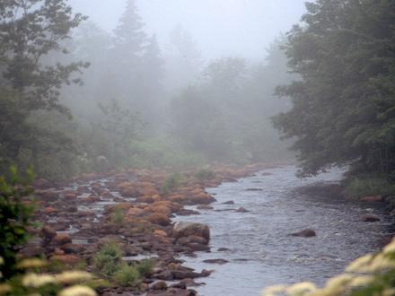 Petite Rivière Bridge Image