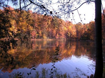 Germantown Image