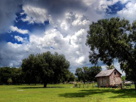 Lacoochee Image
