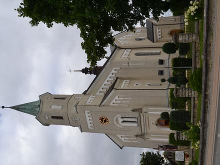 Padew Narodowa Image