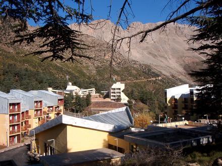 Tikjda Image